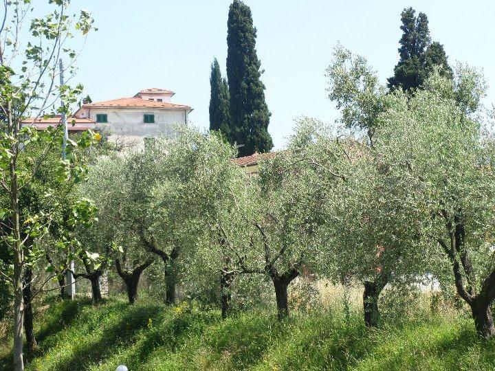 Casali Romei Apartman Sarzana Kültér fotó